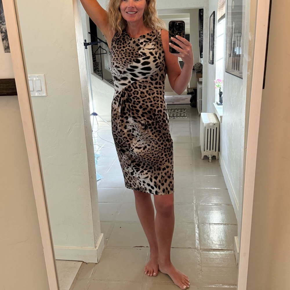 NWT $1250 Roberto Cavalli Animal Print Dress w/ Tags Size: US6, IT42